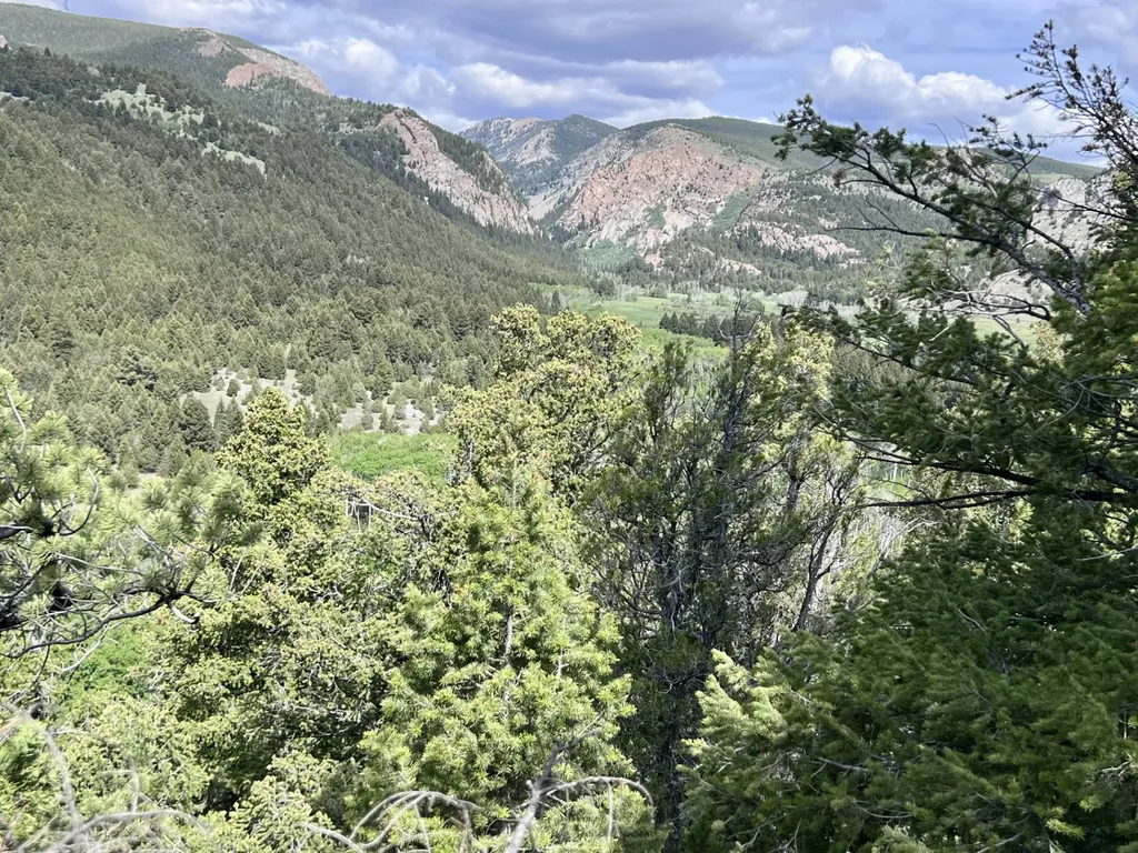 Nhn Lost Creek Road Anaconda MT 59711