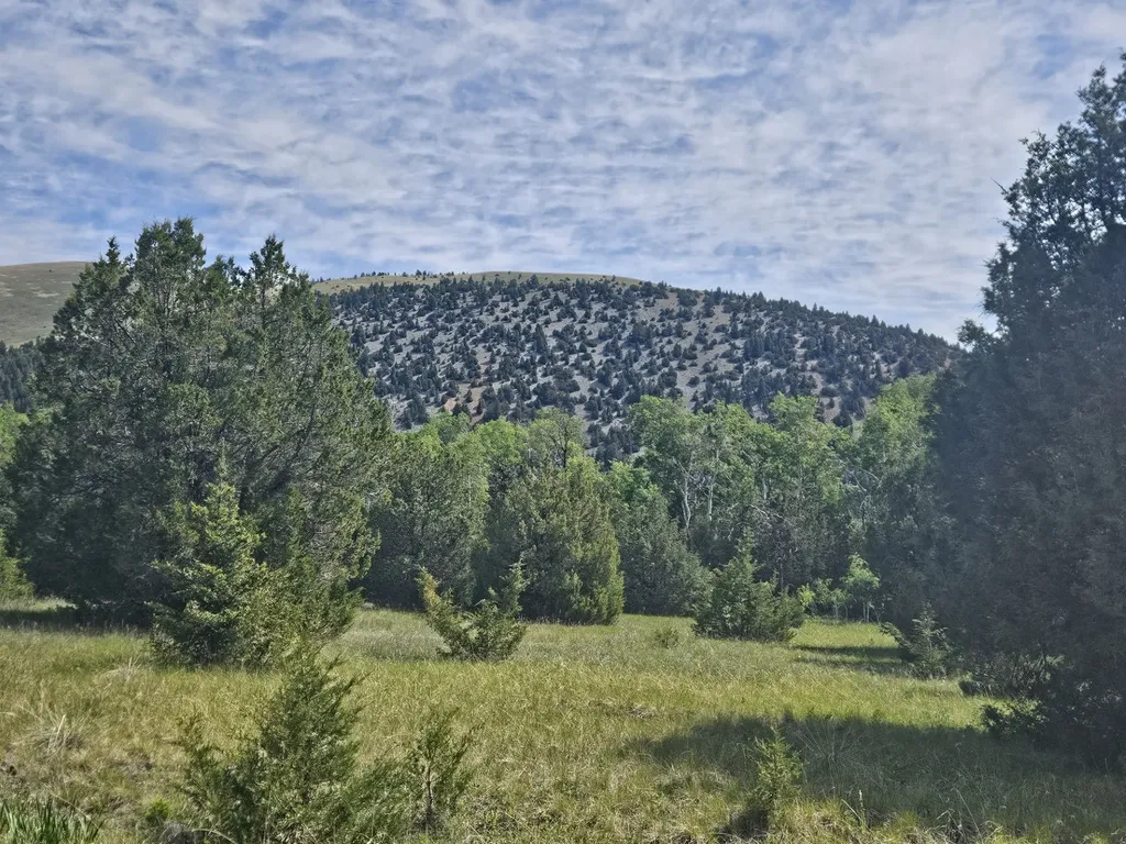 Nhn Lost Creek Road Anaconda MT 59711