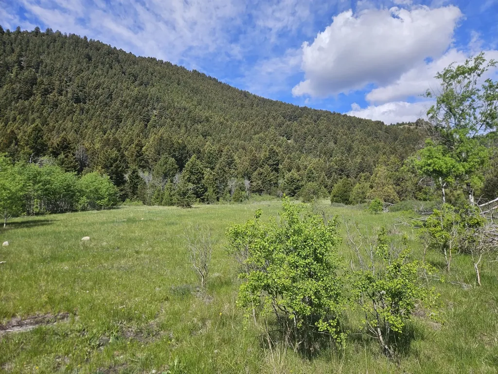 Nhn Lost Creek Road Anaconda MT 59711