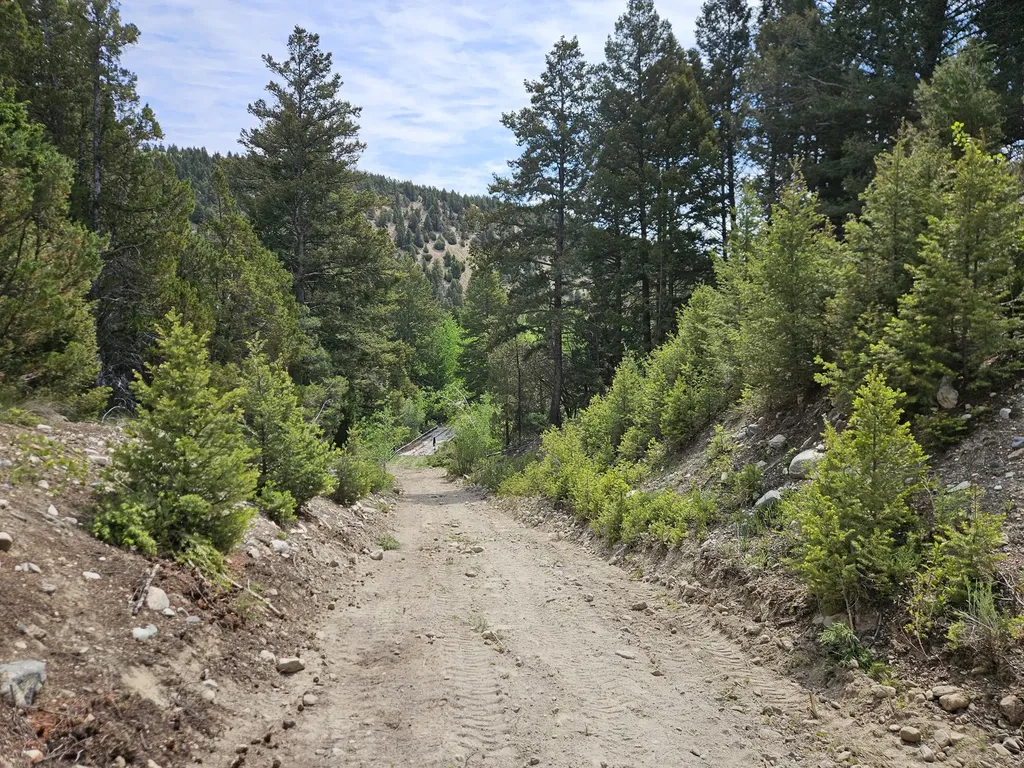 Nhn Lost Creek Road Anaconda MT 59711