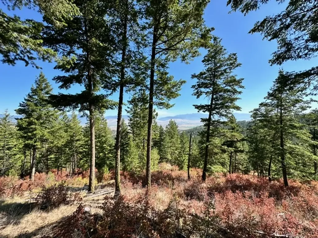 Parcel 1a Dry Gulch Road Missoula MT 59804