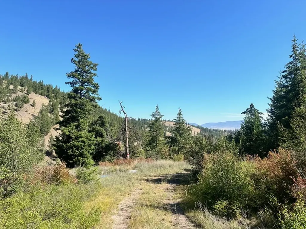 Parcel 1a Dry Gulch Road Missoula MT 59804