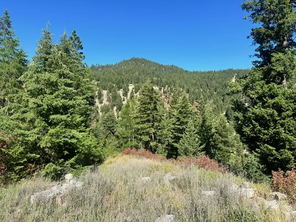 Parcel 1a Dry Gulch Road Missoula MT 59804