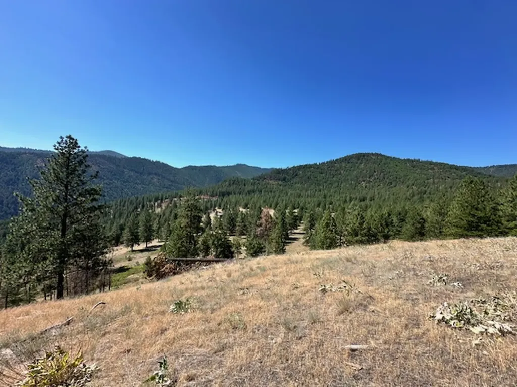 Parcel 1a Dry Gulch Road Missoula MT 59804