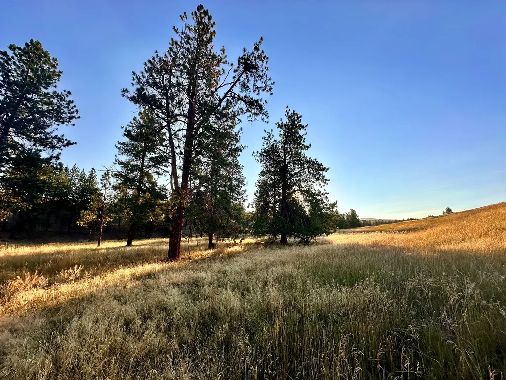 Lot 19 Jenne Lane Florence MT 59833