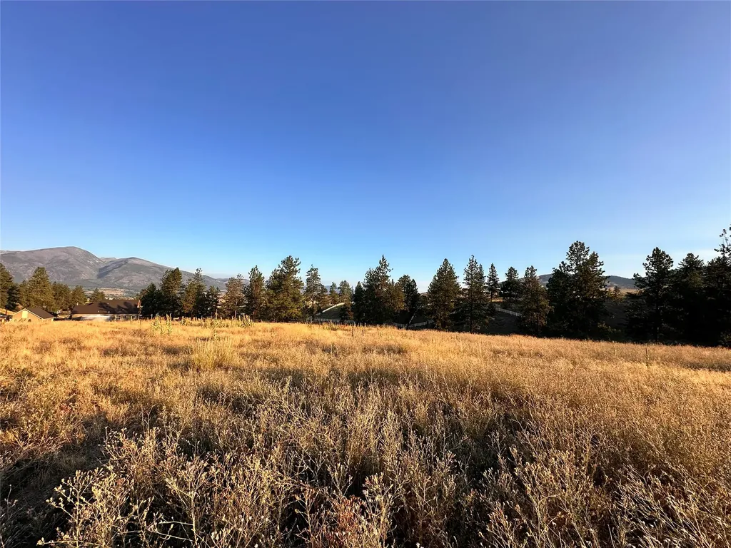 Lot 19 Jenne Lane Florence MT 59833