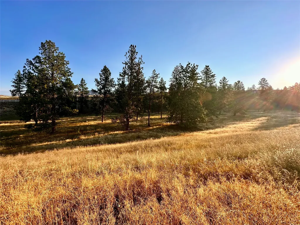 Lot 19 Jenne Lane Florence MT 59833