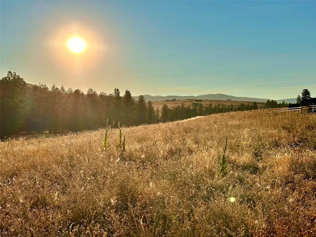 Lot 19 Jenne Lane Florence MT 59833
