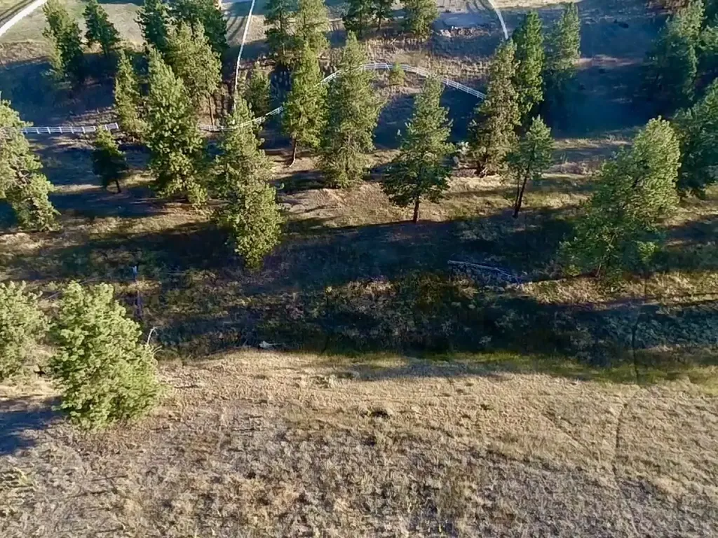 Lot 19 Jenne Lane Florence MT 59833