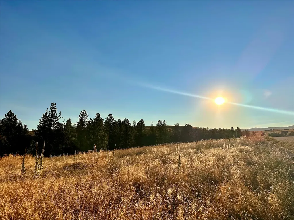 Lot 19 Jenne Lane Florence MT 59833
