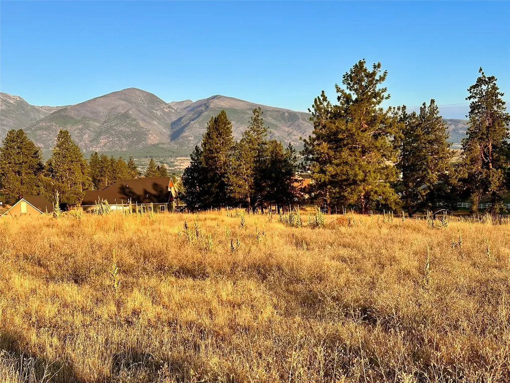 Lot 19 Jenne Lane Florence MT 59833