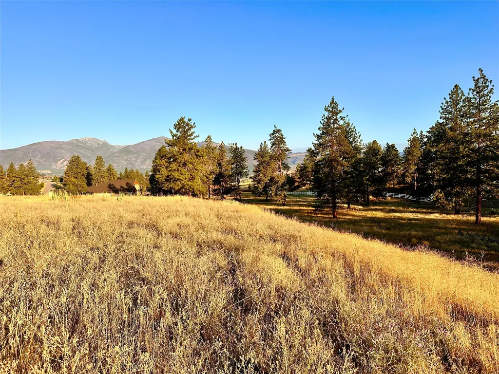 Lot 19 Jenne Lane Florence MT 59833