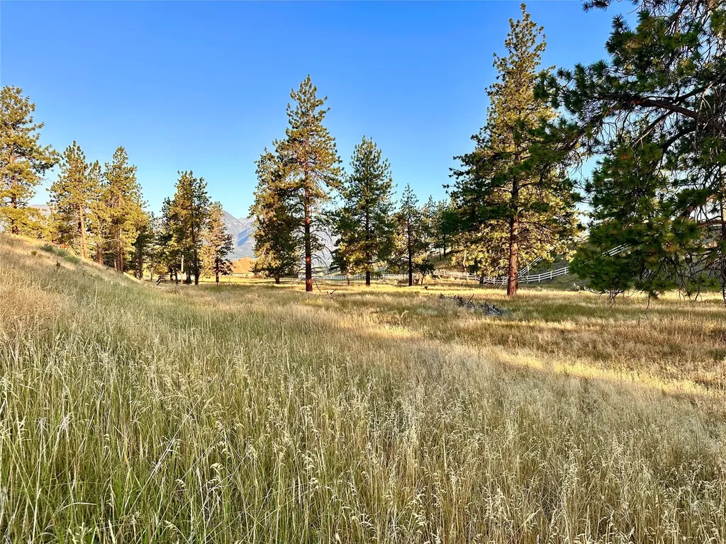 Lot 19 Jenne Lane Florence MT 59833