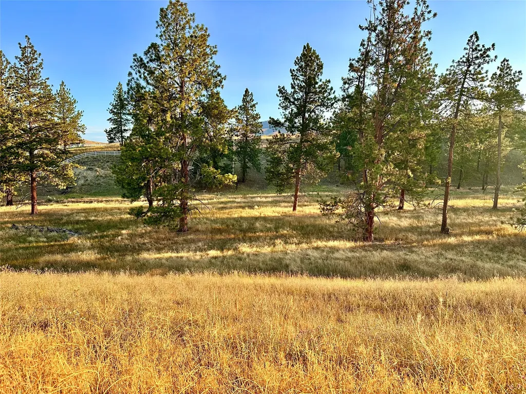 Lot 19 Jenne Lane Florence MT 59833