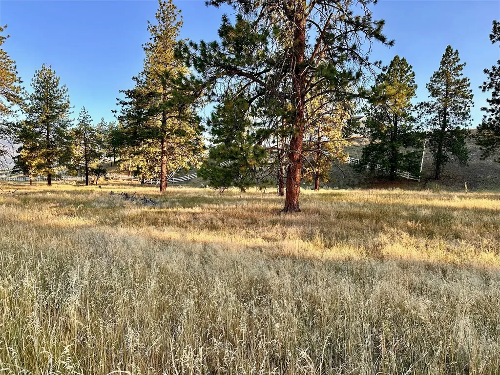 Lot 19 Jenne Lane Florence MT 59833