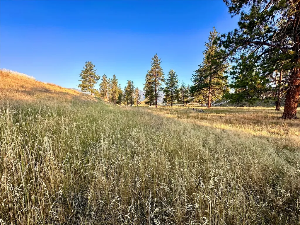 Lot 19 Jenne Lane Florence MT 59833