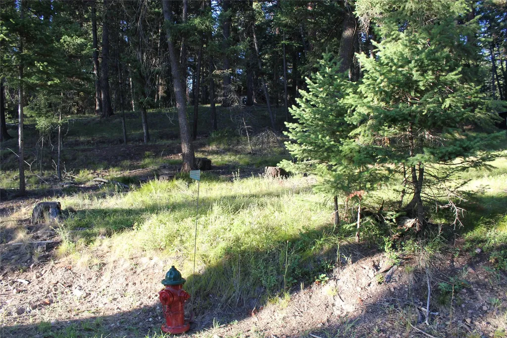 688 Seeley Lane Seeley Lake MT 59868