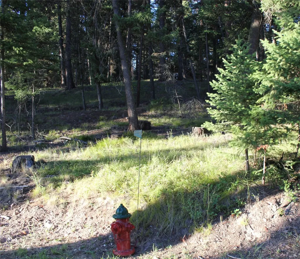 688 Seeley Lane Seeley Lake MT 59868