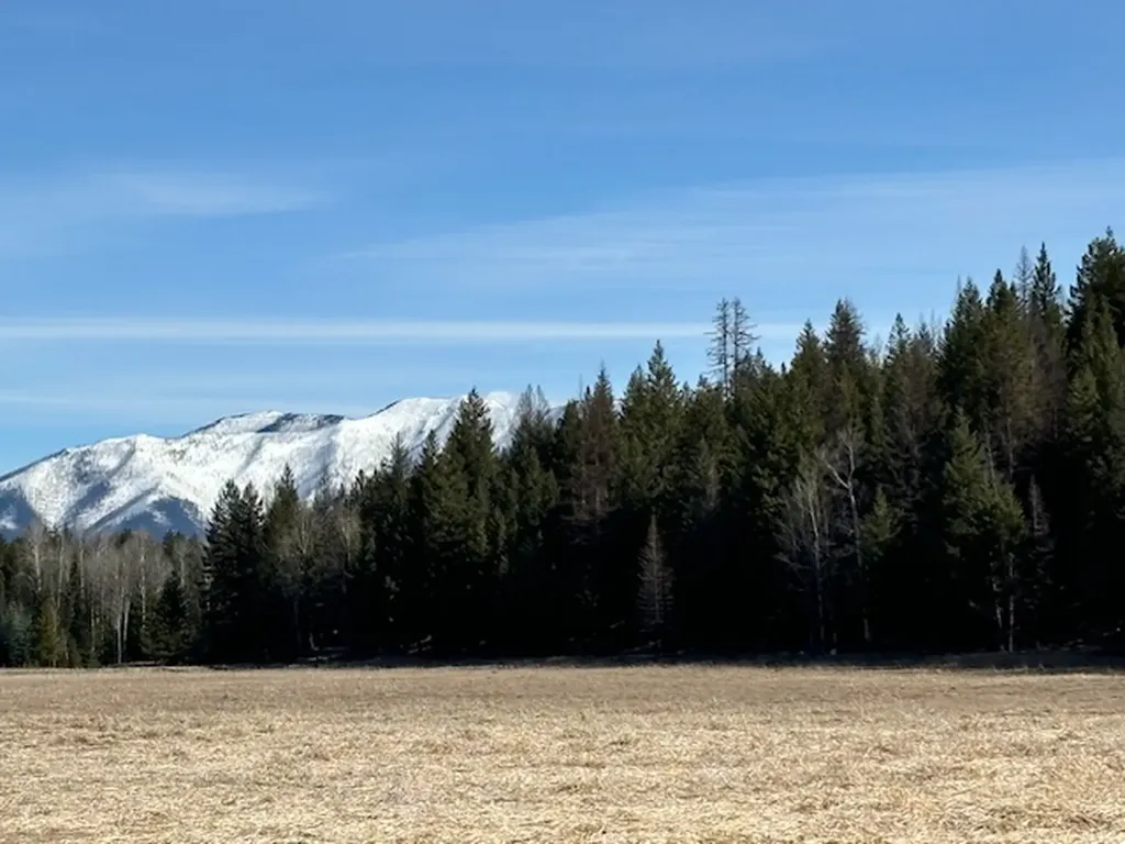 751 Edna Creek Road Trego MT 59934