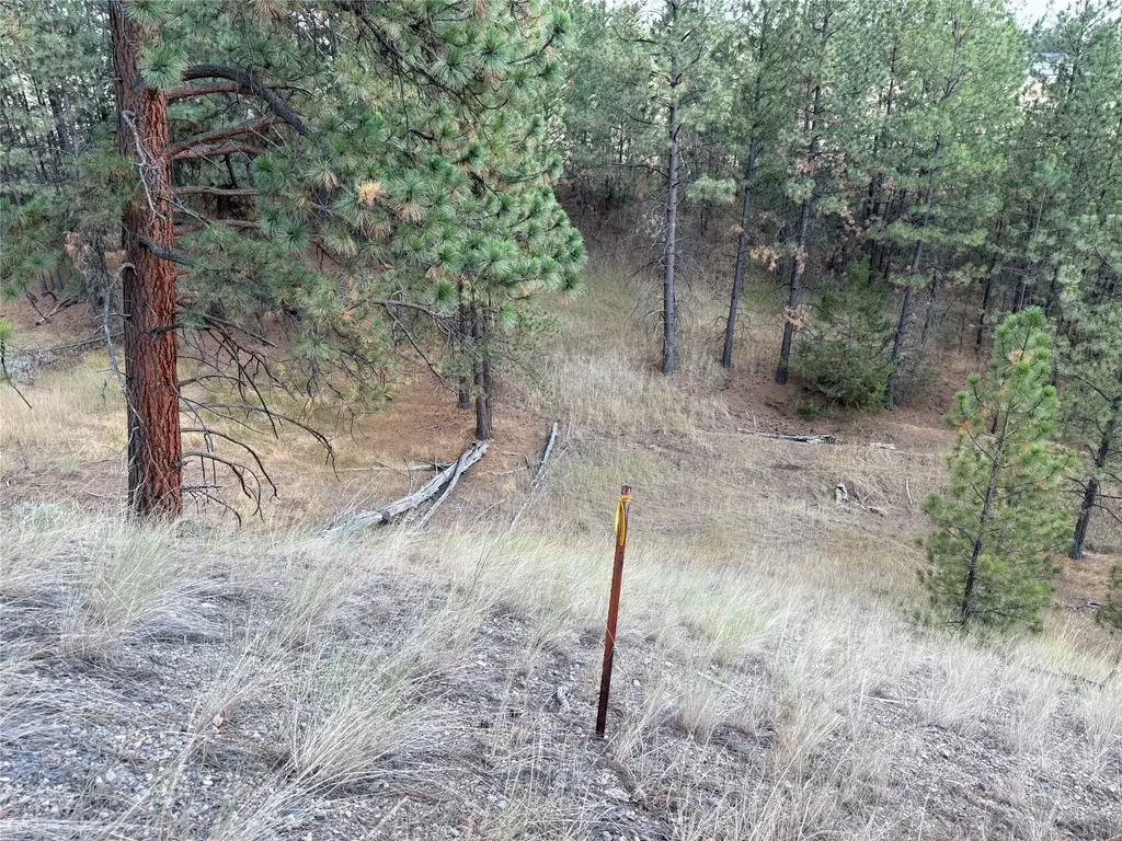 Nhn Stans Way Stevensville MT 59870