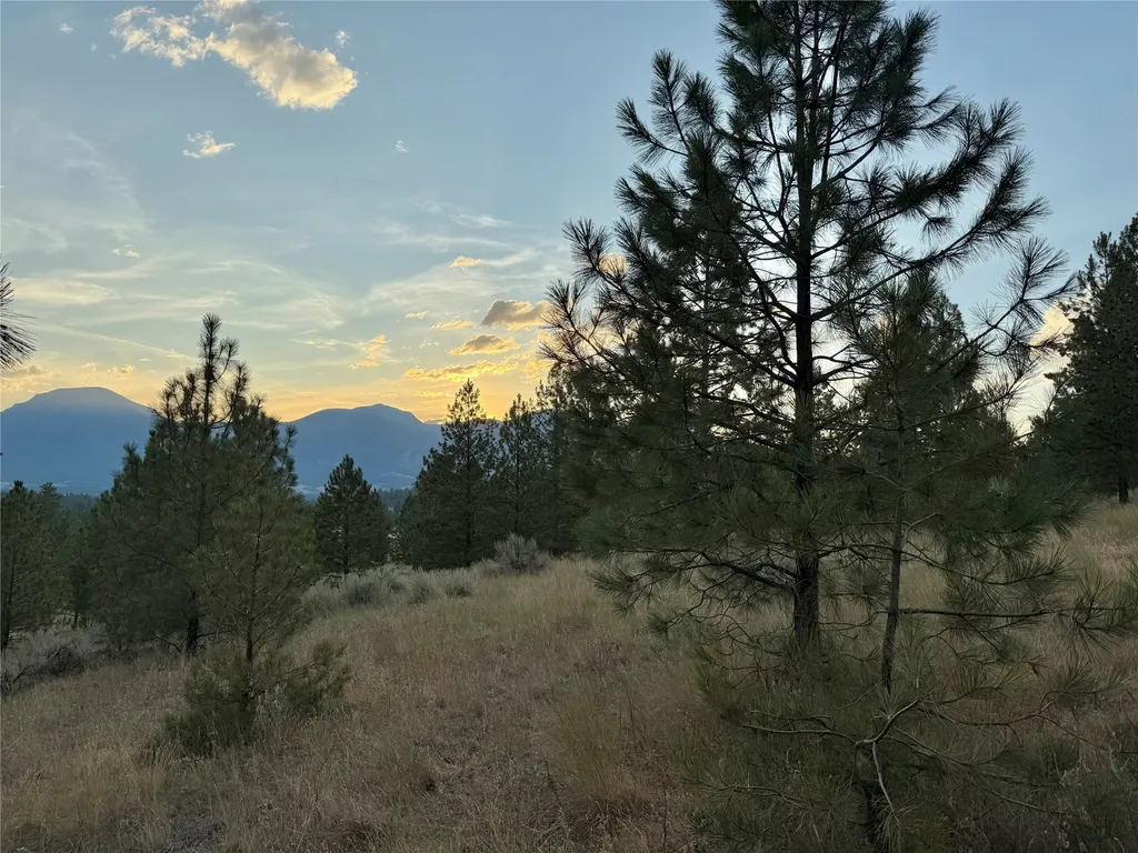Nhn Stans Way Stevensville MT 59870