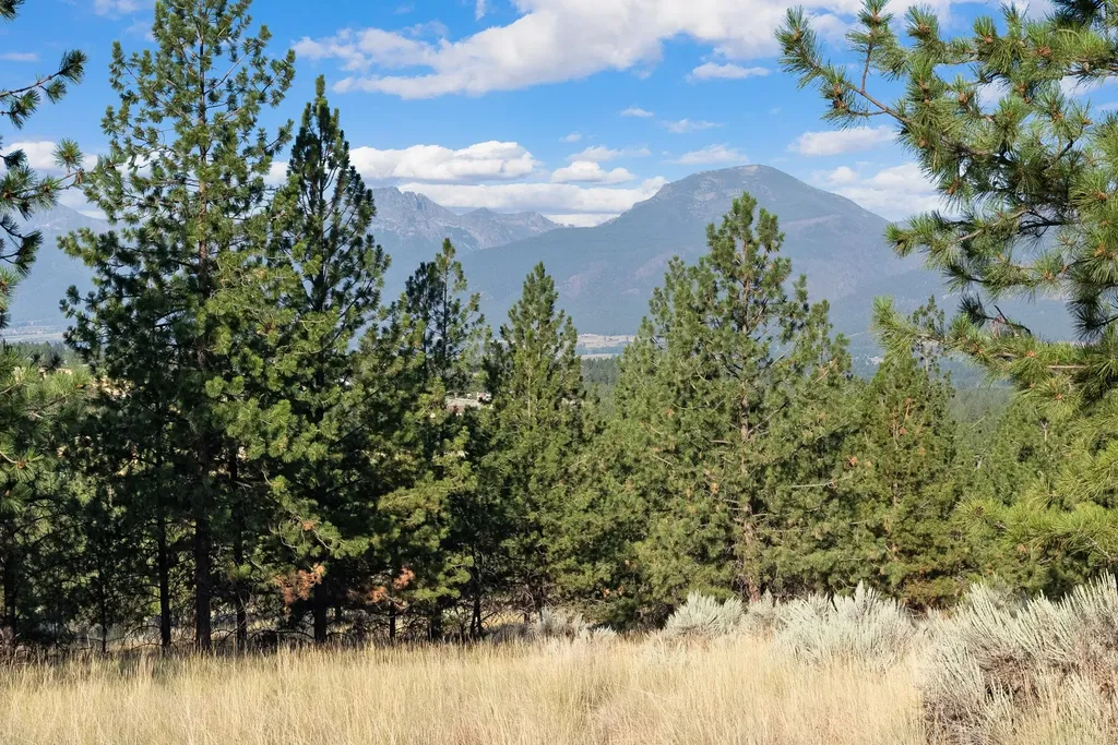 Nhn Stans Way Stevensville MT 59870