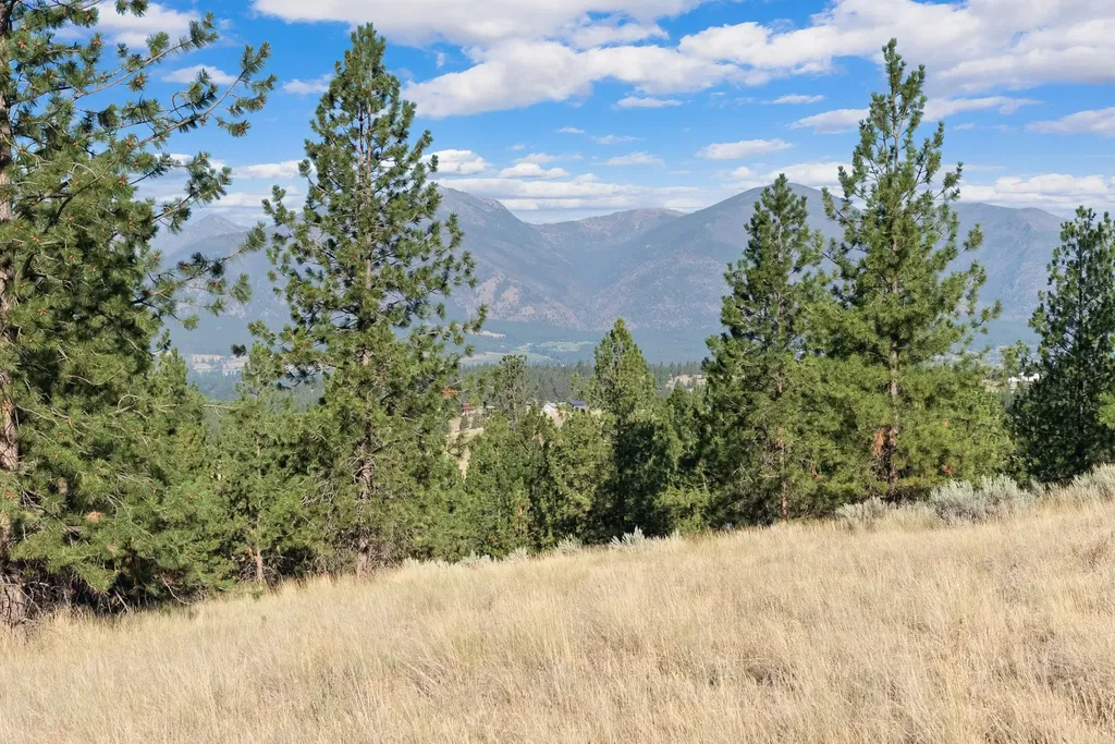 Nhn Stans Way Stevensville MT 59870