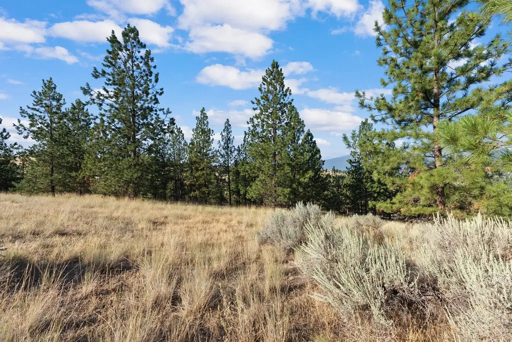 Nhn Stans Way Stevensville MT 59870