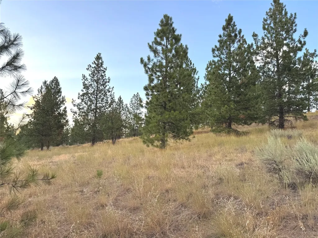 Nhn Stans Way Stevensville MT 59870