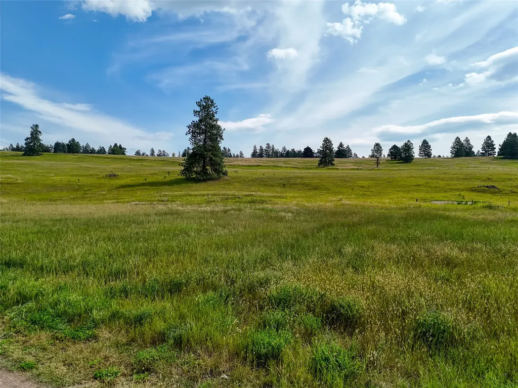 151 Barkley Ridge Trail Kalispell MT 59901