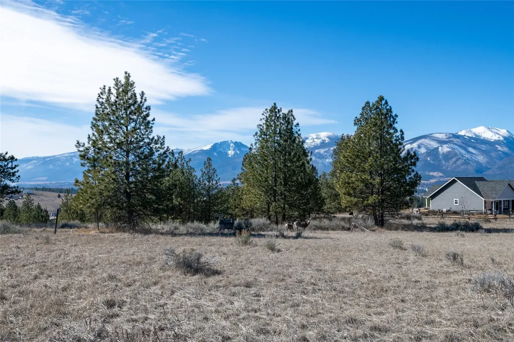 842 Sandhill Loop Florence MT 59833