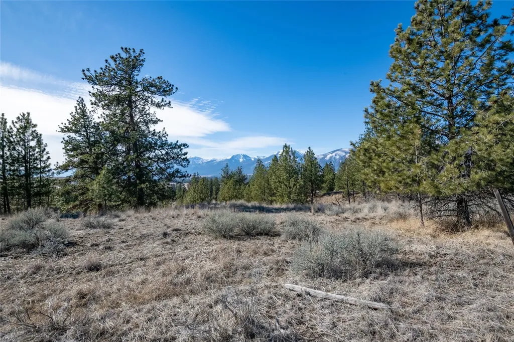 842 Sandhill Loop Florence MT 59833