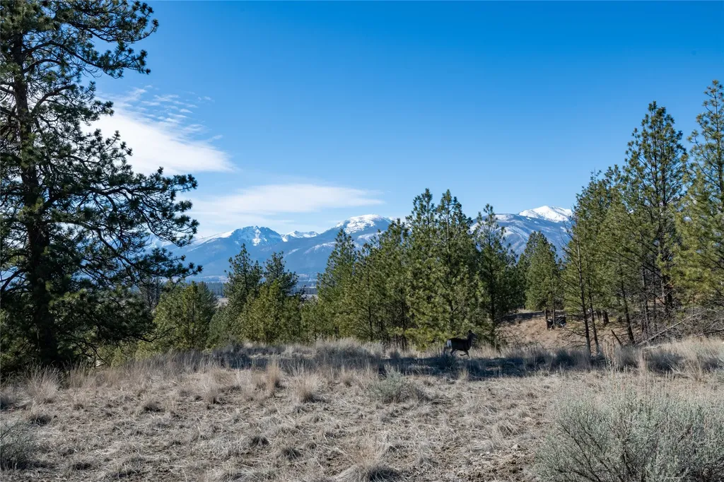 842 Sandhill Loop Florence MT 59833