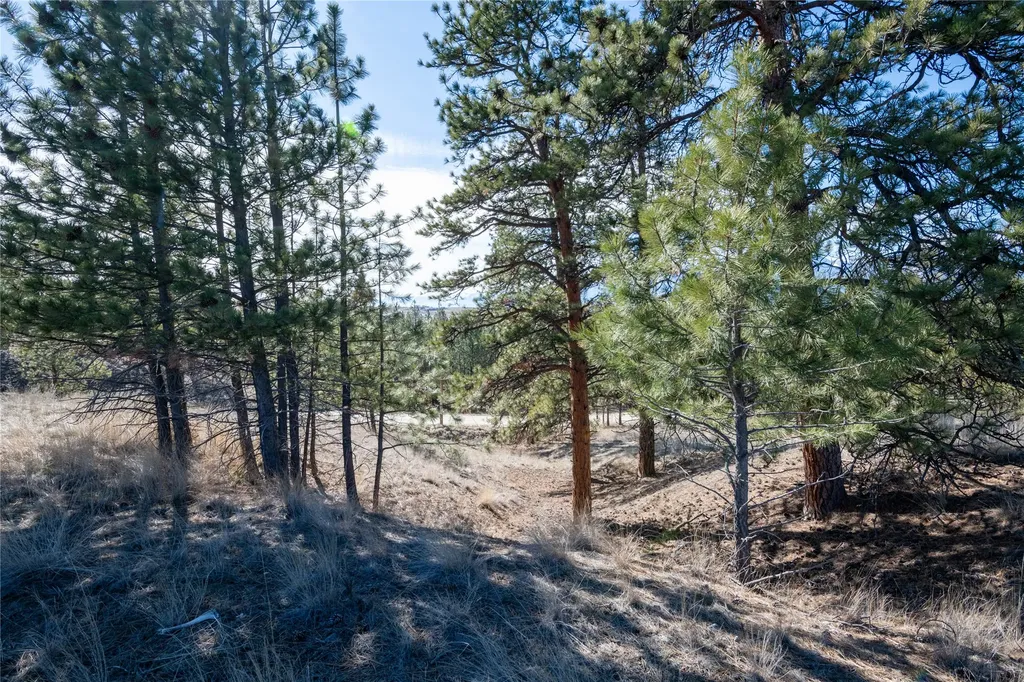 842 Sandhill Loop Florence MT 59833