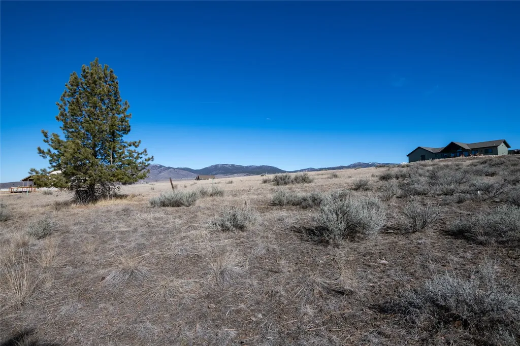 842 Sandhill Loop Florence MT 59833