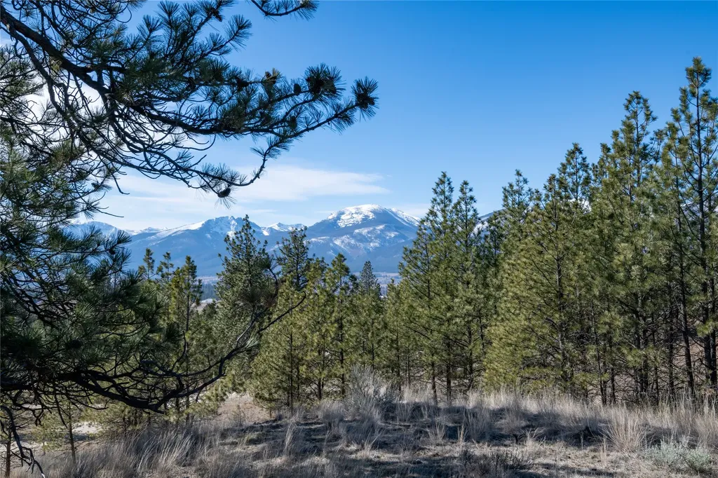 842 Sandhill Loop Florence MT 59833