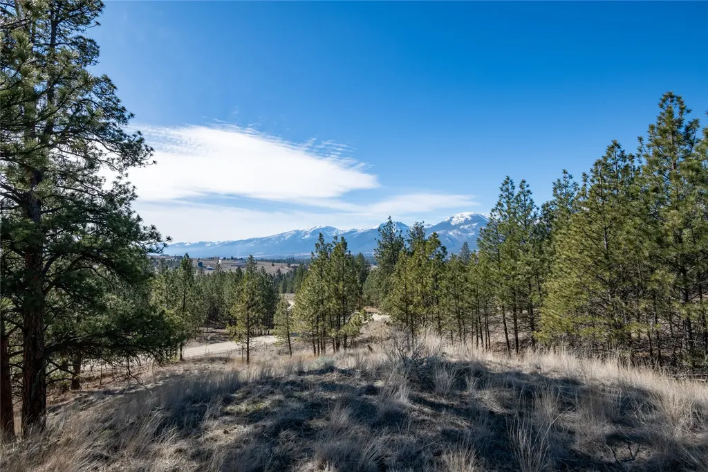 842 Sandhill Loop Florence MT 59833