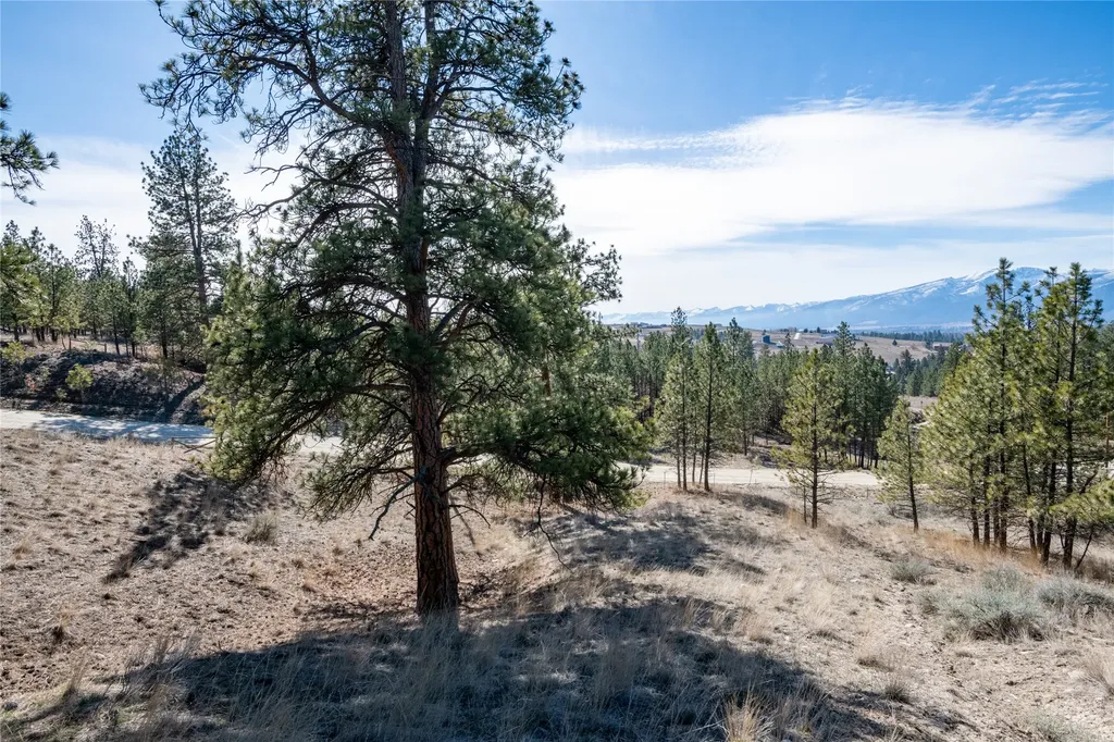 842 Sandhill Loop Florence MT 59833