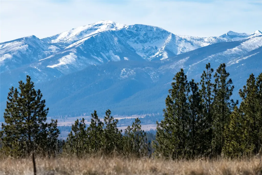 842 Sandhill Loop Florence MT 59833