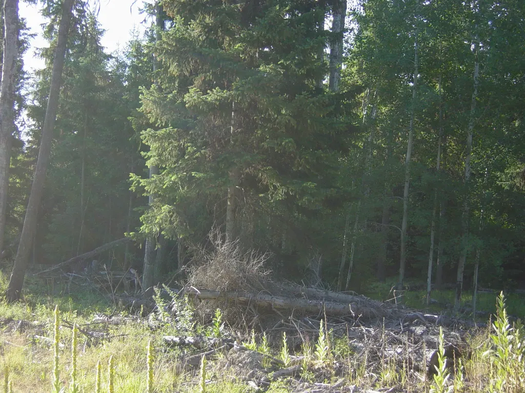 Nhn Acm Road S Libby MT 59923