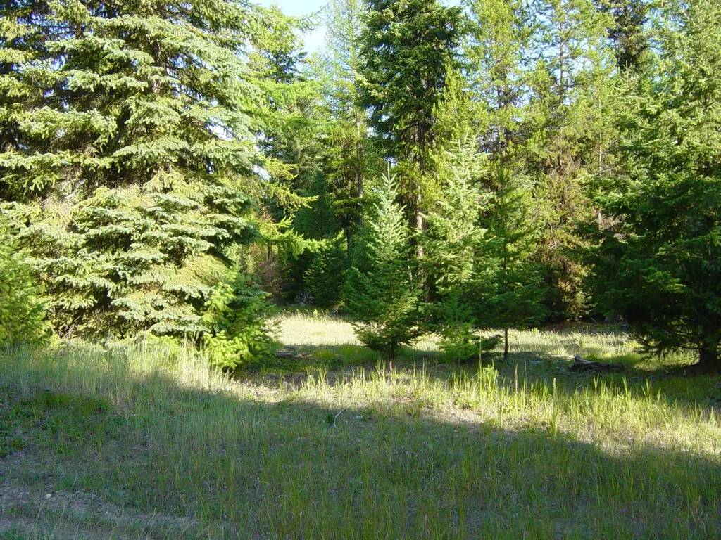 Nhn Acm Road S Libby MT 59923