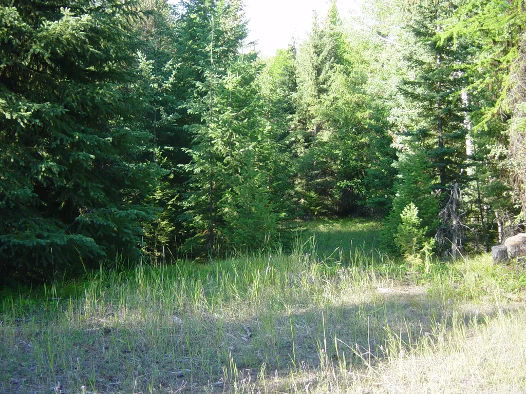 Nhn Acm Road S Libby MT 59923