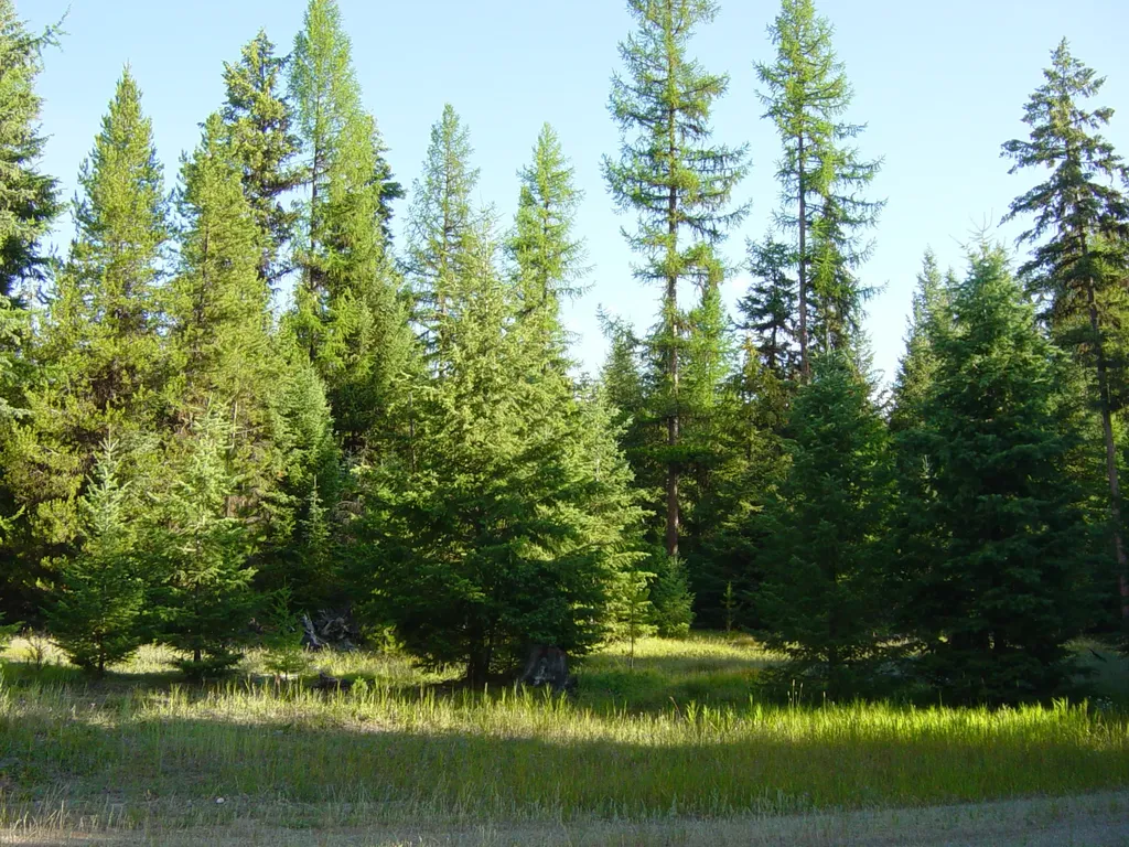 Nhn Acm Road S Libby MT 59923