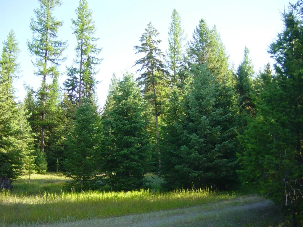 Nhn Acm Road S Libby MT 59923