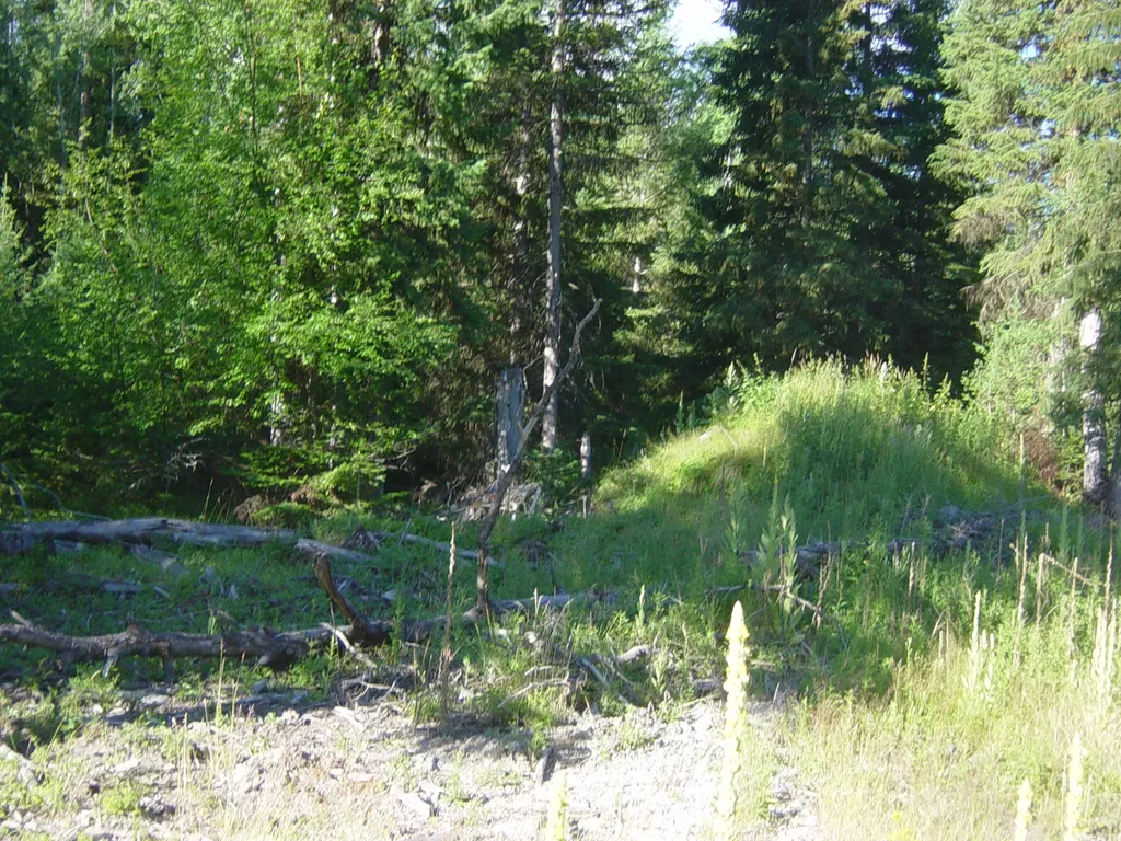 Nhn Acm Road S Libby MT 59923