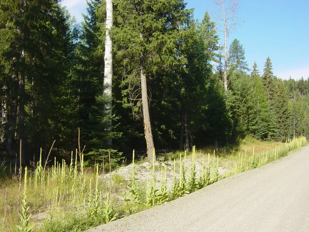Nhn Acm Road S Libby MT 59923