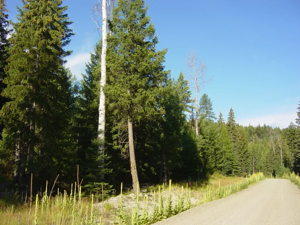 Nhn Acm Road S Libby MT 59923
