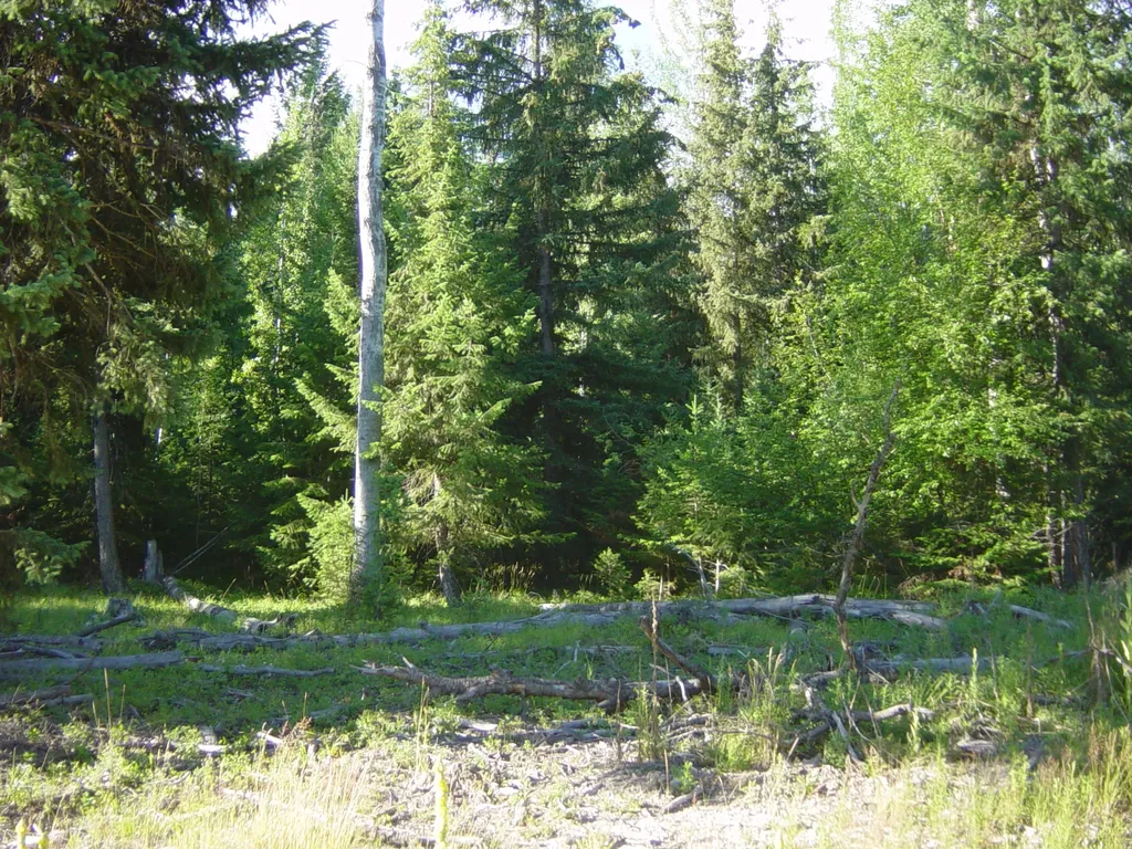 Nhn Acm Road S Libby MT 59923