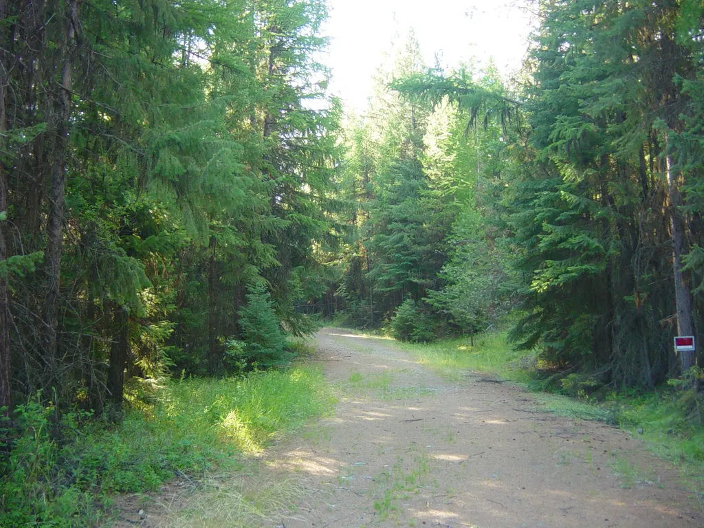 Nhn Acm Road S Libby MT 59923