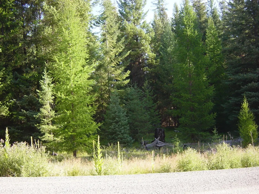 Nhn Acm Road S Libby MT 59923